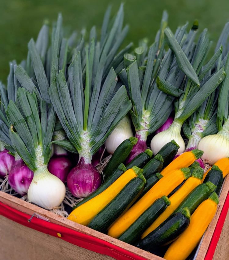 Légumes frais du jardin — maraîcher de Batiscan